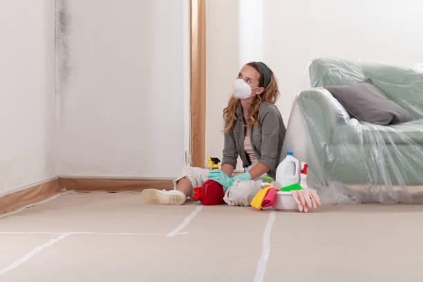 Reliable Mold Inspection contractor in Mifflin, PA by WQB Mold Removal